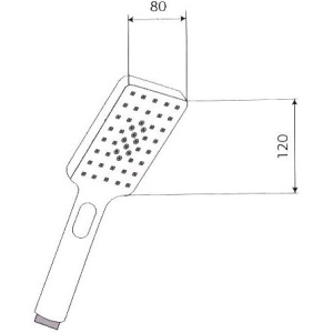 Душевая лейка Paini Ravenna RVCR155