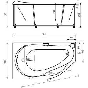 Купить Акриловая ванна Aquatek Таурус 170x100 TAR170-0000084 левая, с фронтальным экраном в Москве с доставкой Акриловая ванна Aquatek Таурус 170x100 TAR170-0000084 левая, с фронтальным экраном