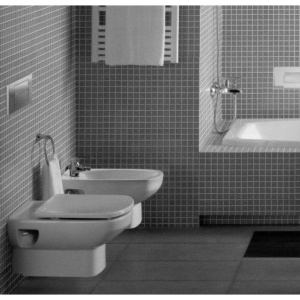 Купить Унитаз подвесной Roca Dama senso Dama Senso 346517000 в Москве с доставкой Унитаз подвесной Roca Dama senso Dama Senso 346517000