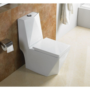 Купить Унитаз-моноблок SantiLine SL-5013 с микролифтом в Москве с доставкой Унитаз-моноблок SantiLine SL-5013 с микролифтом