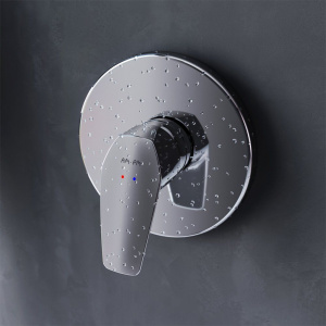 Купить Смеситель для душа AM.PM Gem F9075000 в Москве с доставкой Смеситель для душа AM.PM Gem F9075000