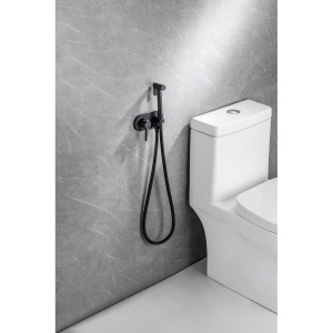 Купить Гигиенический душ Allen Brau Priority 5.31005-31 С ВНУТРЕННЕЙ ЧАСТЬЮ, чёрный матовый в Москве с доставкой Гигиенический душ Allen Brau Priority 5.31005-31 С ВНУТРЕННЕЙ ЧАСТЬЮ, чёрный матовый