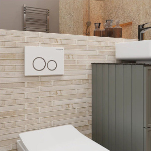 Купить Кнопка смыва CHARUS Spazio FP.330.11.01 белое сияние в Москве с доставкой Кнопка смыва CHARUS Spazio FP.330.11.01 белое сияние