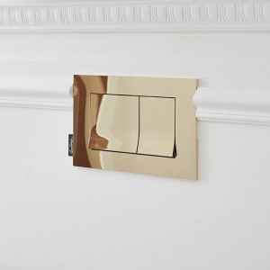 Купить Кнопка смыва Jacob Delafon E20858-BGG золото в Москве с доставкой Кнопка смыва Jacob Delafon E20858-BGG золото