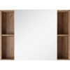 Зеркало-шкаф Домино Craft 100