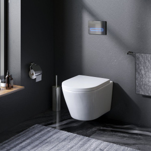 Купить Унитаз подвесной AM.PM Sense C741701SC безободковый, с микролифтом в Москве с доставкой Унитаз подвесной AM.PM Sense C741701SC безободковый, с микролифтом