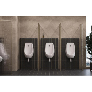 Купить Писсуар Roca Access ZRU9310181 в Москве с доставкой Писсуар Roca Access ZRU9310181