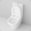Унитаз-компакт AM.PM Inspire C508607WH