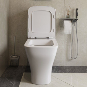 Унитаз-компакт Damixa Titan DX78C8600SC безободковый, с микролифтом