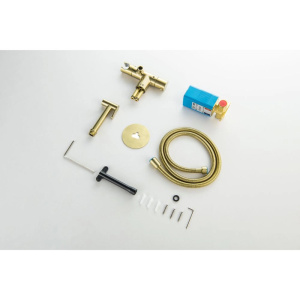 Гигиенический душ со смесителем Aquatek Оберон AQ1027BG шлифованное золото