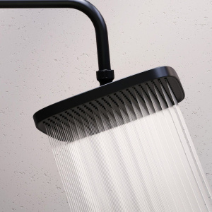 Купить Верхний душ Damixa Gala 953050300 черный в Москве с доставкой Верхний душ Damixa Gala 953050300 черный