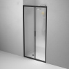 Душевая дверь в нишу AM.PM Gem Solo W90G-100-1-195BM 100 см