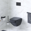 Унитаз подвесной AM.PM Inspire V2.0 FlashClean C50A1700MBSC безободковый, черный матовый