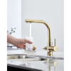 Смеситель для кухни Paulmark Essen Es213011-G, золото