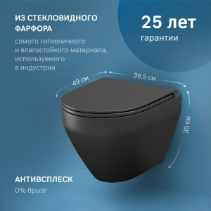 Купить Унитаз подвесной AM.PM Spirit V2.0 FlashClean с микролифтом, черный матовый в Москве с доставкой Унитаз подвесной AM.PM Spirit V2.0 FlashClean с микролифтом, черный матовый