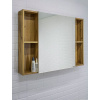 Зеркало-шкаф Домино Craft 100