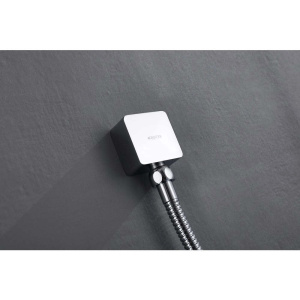 Шланговое подключение Aquatek AQ2459CR хром