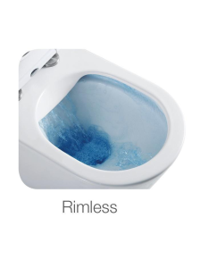 Купить Унитаз подвесной WeltWasser ODENBACH 004 GL-WT (10000003704) в Москве с доставкой Унитаз подвесной WeltWasser ODENBACH 004 GL-WT (10000003704)