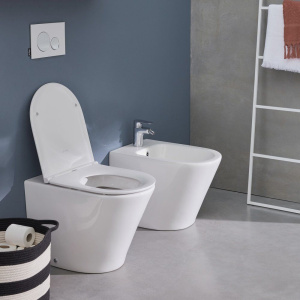 Купить Унитаз приставной Jacob Delafon Rodin+ EDAA102-00 с крышкой в Москве с доставкой Унитаз приставной Jacob Delafon Rodin+ EDAA102-00 с крышкой