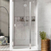 Душевая дверь в нишу Radaway Nes DWJ II 100 R