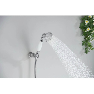 Душевая лейка Aquatek Классик 76 AQ2008CR хром