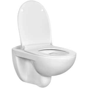 Купить Унитаз подвесной Roca Victoria 34639300Y безободковый в Москве с доставкой Унитаз подвесной Roca Victoria 34639300Y безободковый