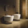 Унитаз подвесной Duravit ME by Starck 2529090000 безободковый