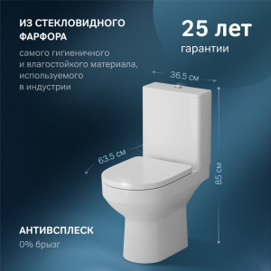 Купить Унитаз-компакт AM.PM Spirit V2.0 FlashClean с микролифтом в Москве с доставкой Унитаз-компакт AM.PM Spirit V2.0 FlashClean с микролифтом