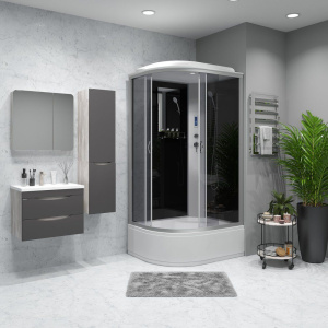 Купить Душевая кабина Niagara Classic NG-2510-14RP, 120х80 см, с пультом управления и FM-радио в Москве с доставкой Душевая кабина Niagara Classic NG-2510-14RP, 120х80 см, с пультом управления и FM-радио