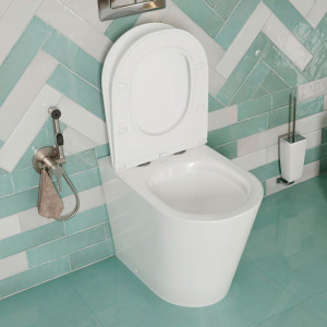 Купить Унитаз приставной IDDIS Calipso Rimless CALRDSEi26 с микролифтом, безободковый в Москве с доставкой Унитаз приставной IDDIS Calipso Rimless CALRDSEi26 с микролифтом, безободковый