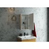 Зеркало-шкаф CONTINENT Allure R 35х65 с подсветкой