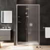 Душевая дверь в нишу AM.PM Gem Solo W90G-110-1-195MM 110 см