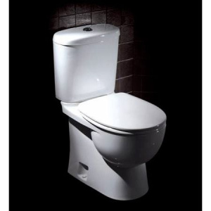 Купить Унитаз-компакт Sanita luxe Art luxe с микролифтом в Москве с доставкой Унитаз-компакт Sanita luxe Art luxe с микролифтом