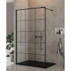 Душевая перегородка Ceruttispa Muza T100 100 см, профиль черный