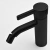 Смеситель для биде Paini Brera 74PZ304 черный брашированный