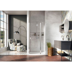 Душевая дверь в нишу Radaway Nes DWJ II 100 R