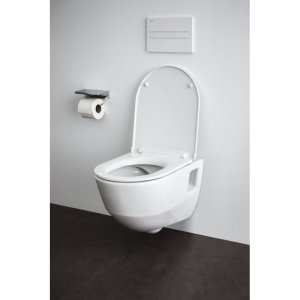 Унитаз подвесной Laufen Pro Rimless 8.2096.6.000.000.1 безободковый